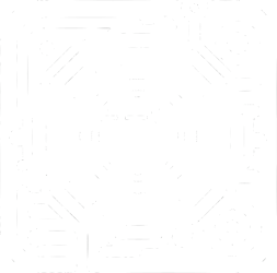 plugins WordPress personnalisés pour des fonctionnalités avancées