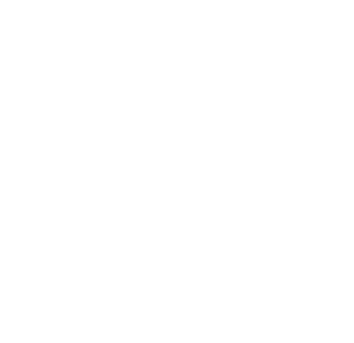 Conception personnalisée de site WordPress et services SEO