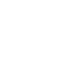 Hébergement WordPress sécurisé avec protection DDoS